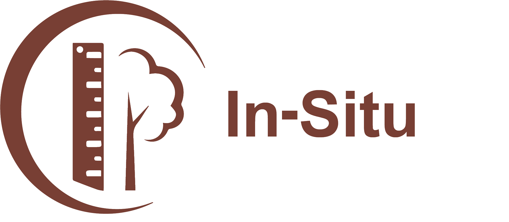 In-Situ Logo
